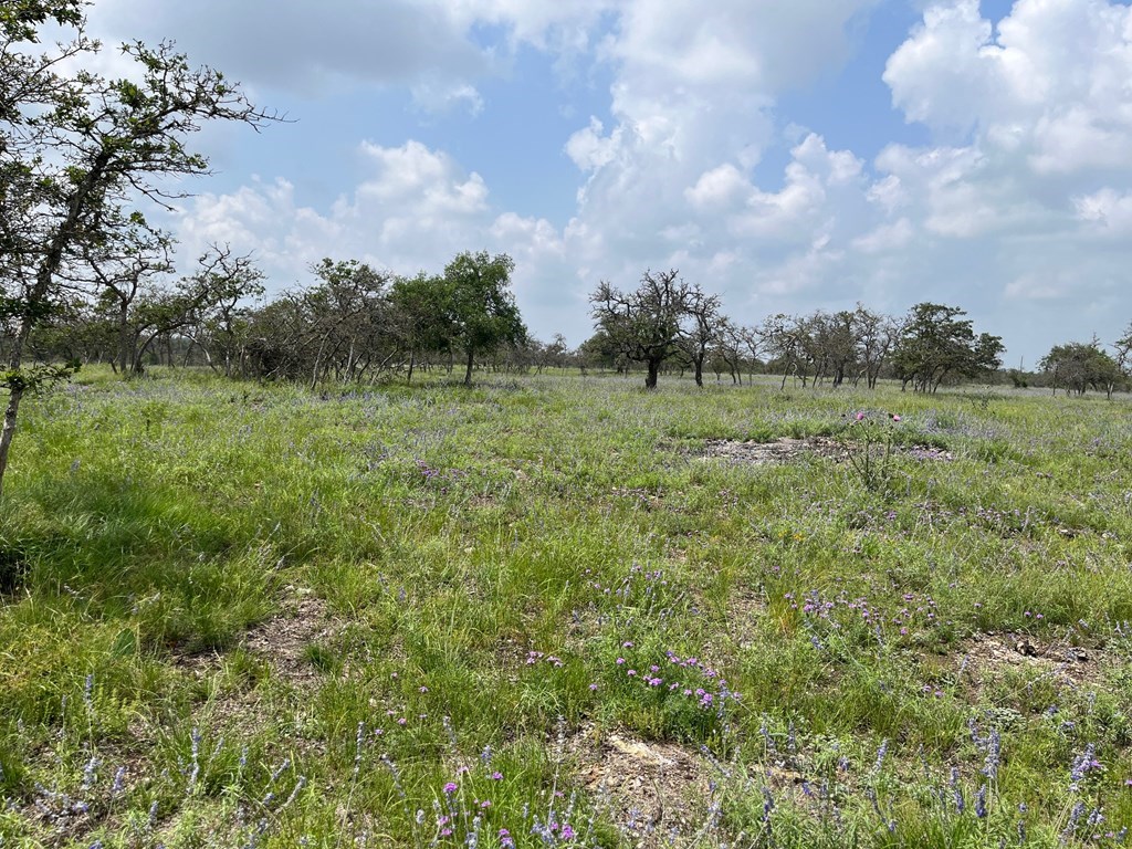 Lot 9 Sweet Wind Ln # 9