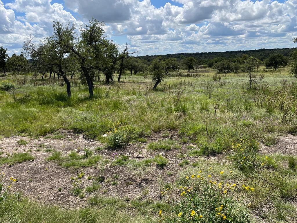 Lot 4 Jung Rd # 4