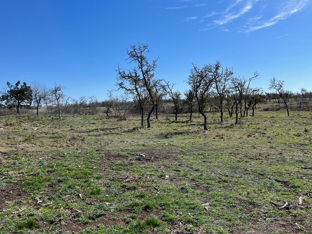 Lot 4 Jung Rd # 4