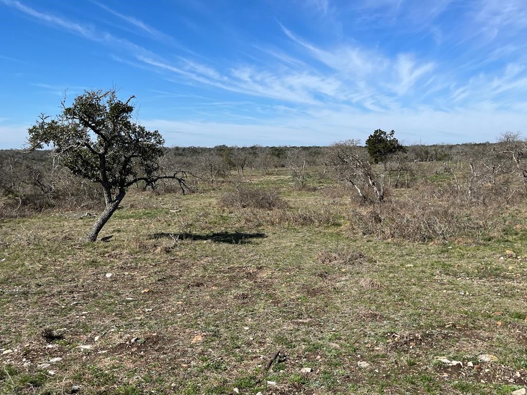 Lot 4 Jung Rd # 4