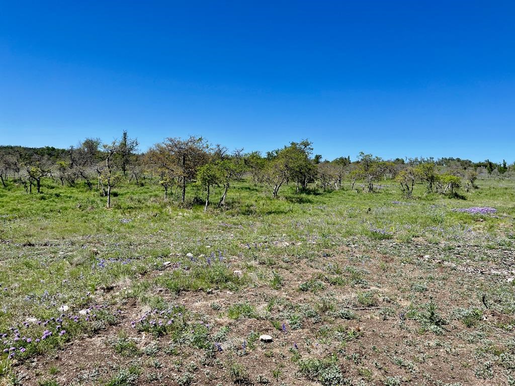 Lot 5 Jung Rd # 5