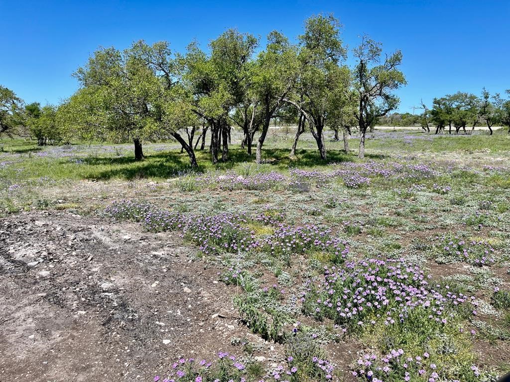 Lot 5 Jung Rd # 5