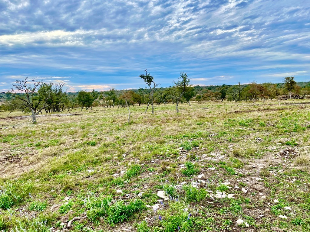 Lot 6 Jung Rd # 6