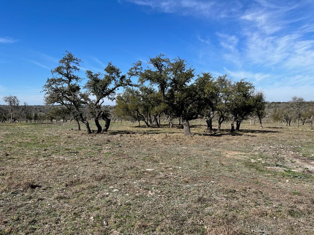 Lot 6 Jung Rd # 6
