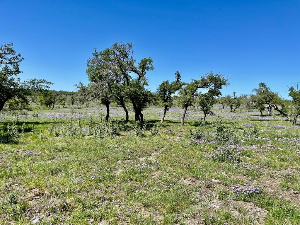 Lot 6 Jung Rd # 6