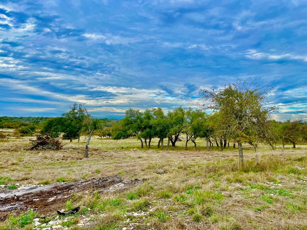 Lot 6 Jung Rd # 6