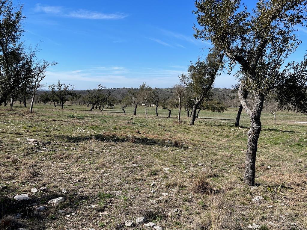 Lot 6 Jung Rd # 6