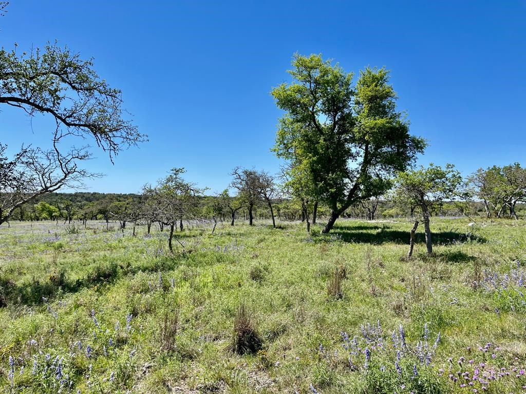 Lot 6 Jung Rd # 6