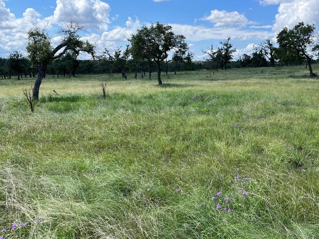 Lot 7 Jung Rd # 7
