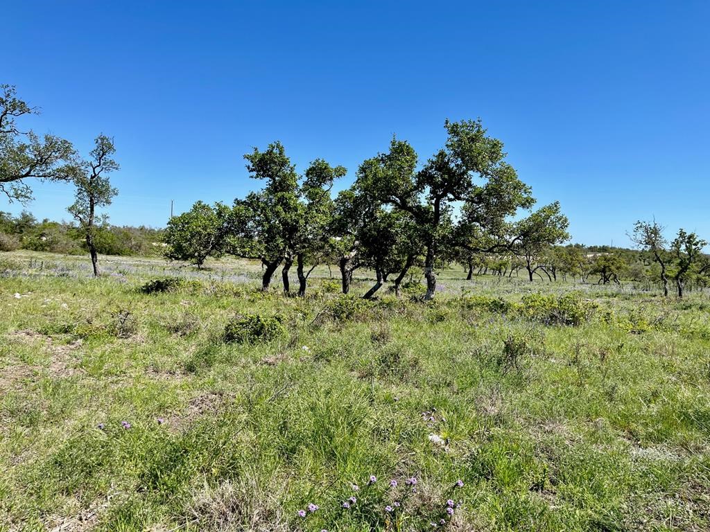 Lot 7 Jung Rd # 7