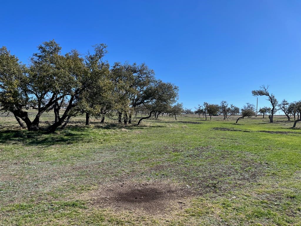 Lot 7 Jung Rd # 7