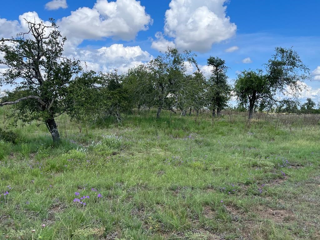 Lot 7 Jung Rd # 7