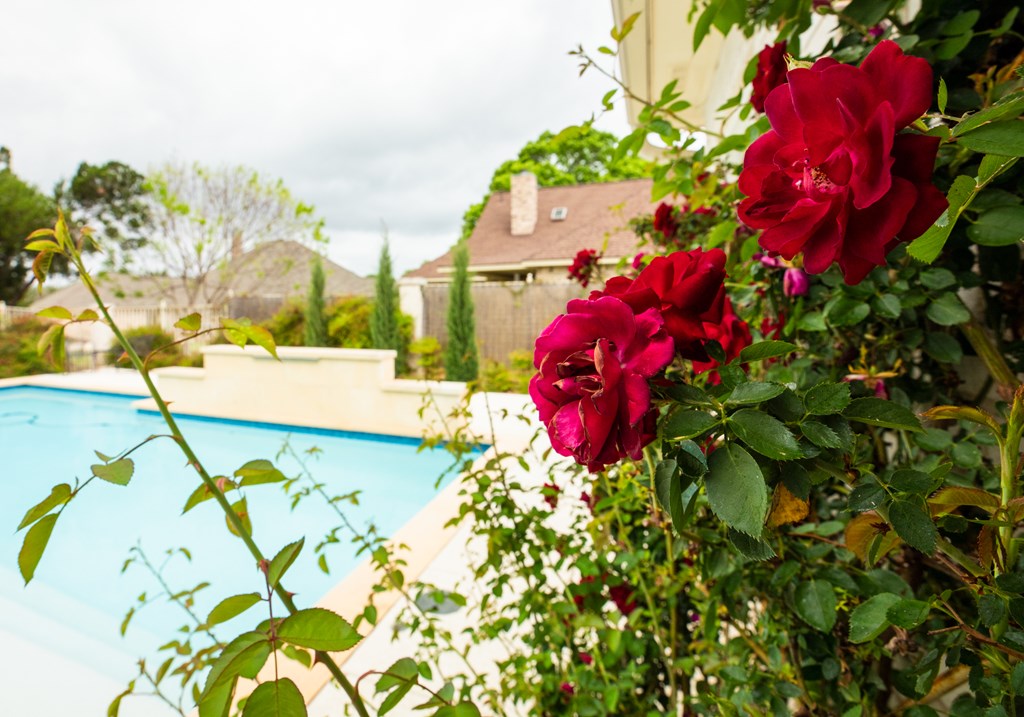 2208 Amberstone