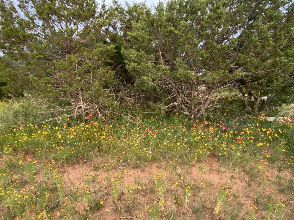 tract 5 Jack Rabbit Rd # 5