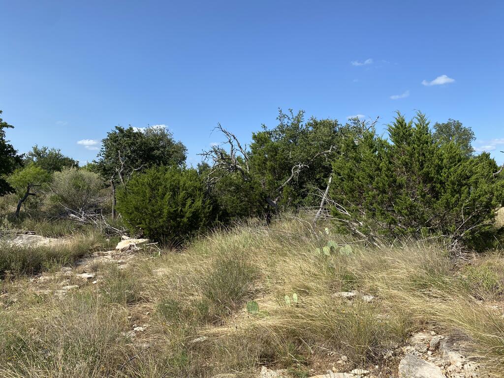 tract 5 Jack Rabbit Rd # 5