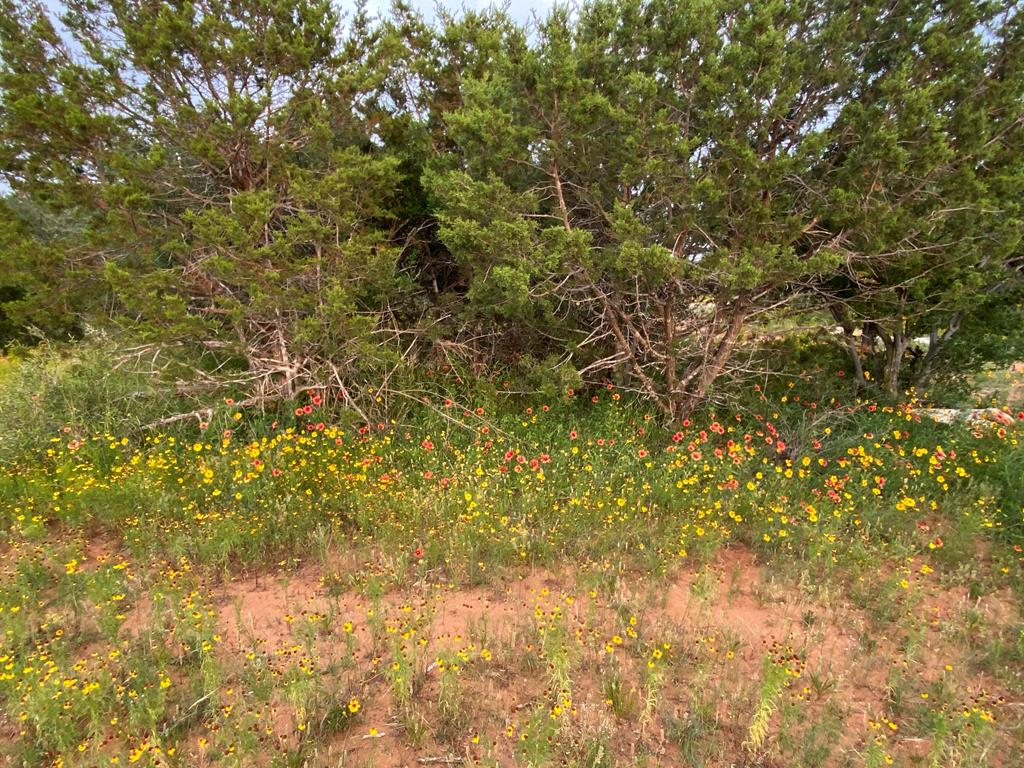 Tract 14 Jack Rabbit Rd # 14