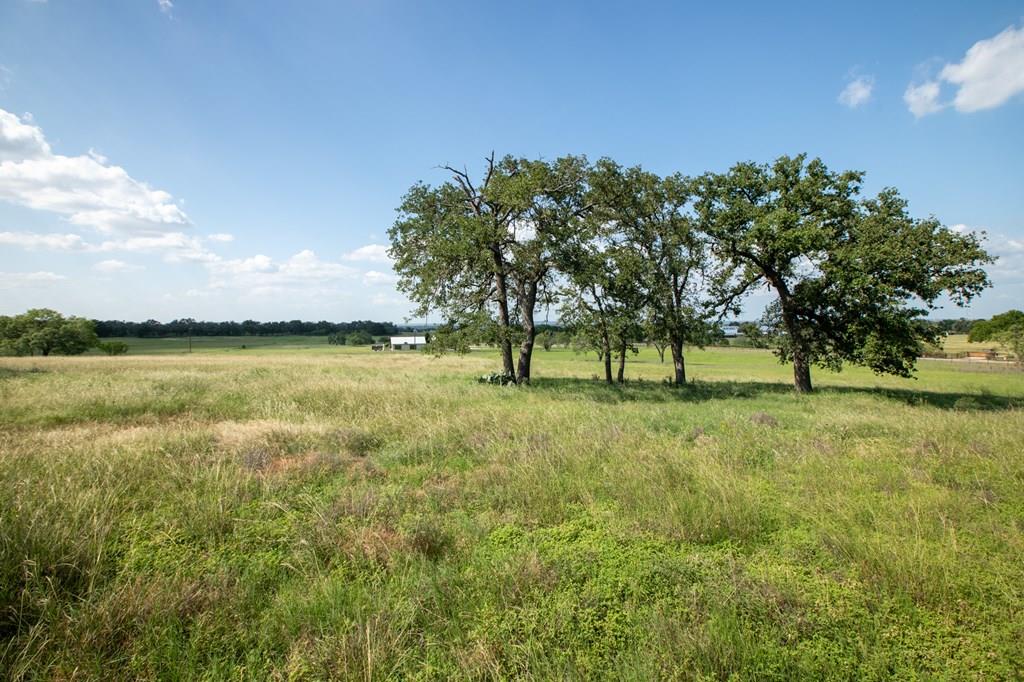 534 Ranch Rd 1376