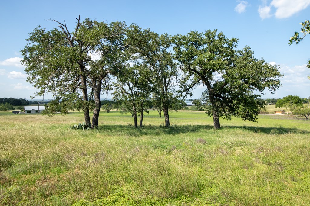 534 Ranch Rd 1376