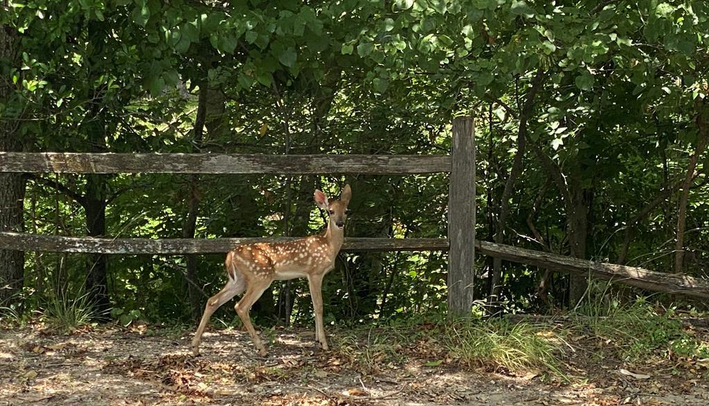 304 E Highway St # 18