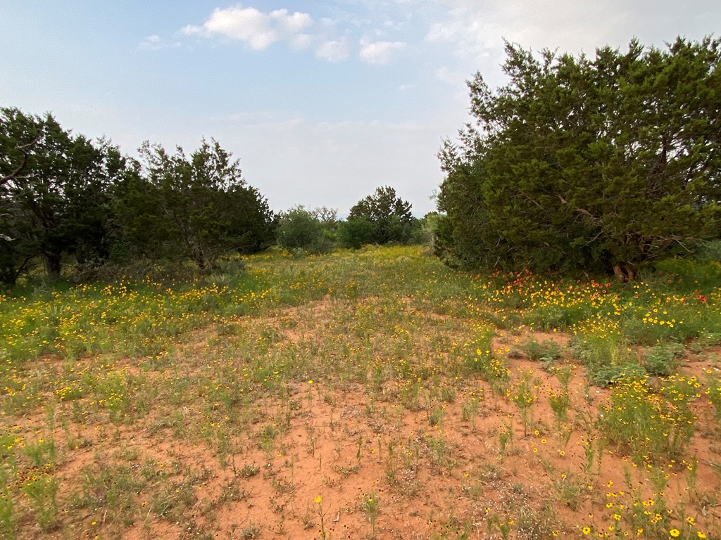 Tract 11 Jack Rabbit Rd # 11