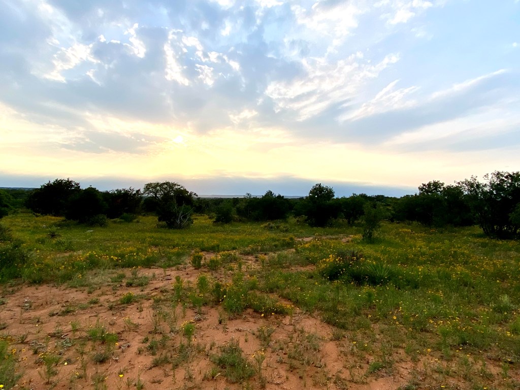 Tract 11 Jack Rabbit Rd # 11