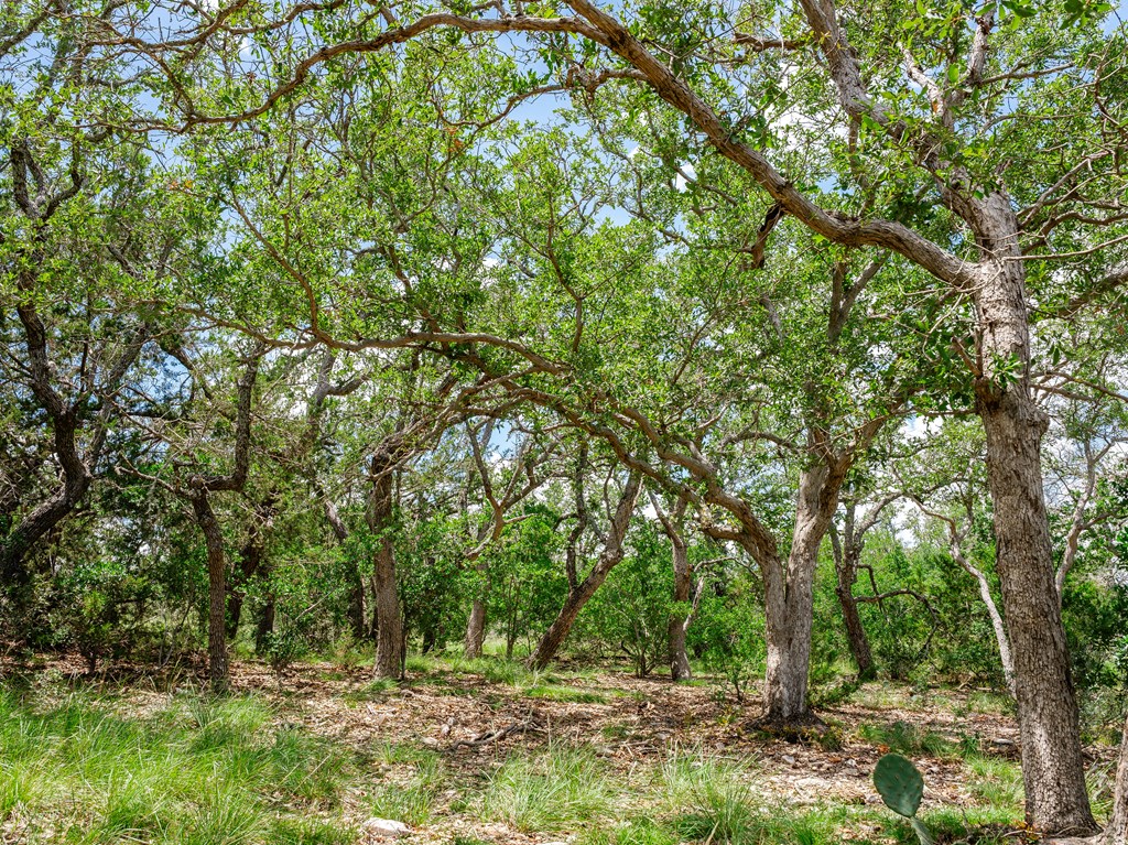 1632 Link # 12