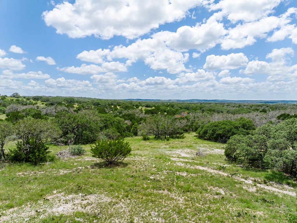 1632 Link # 12
