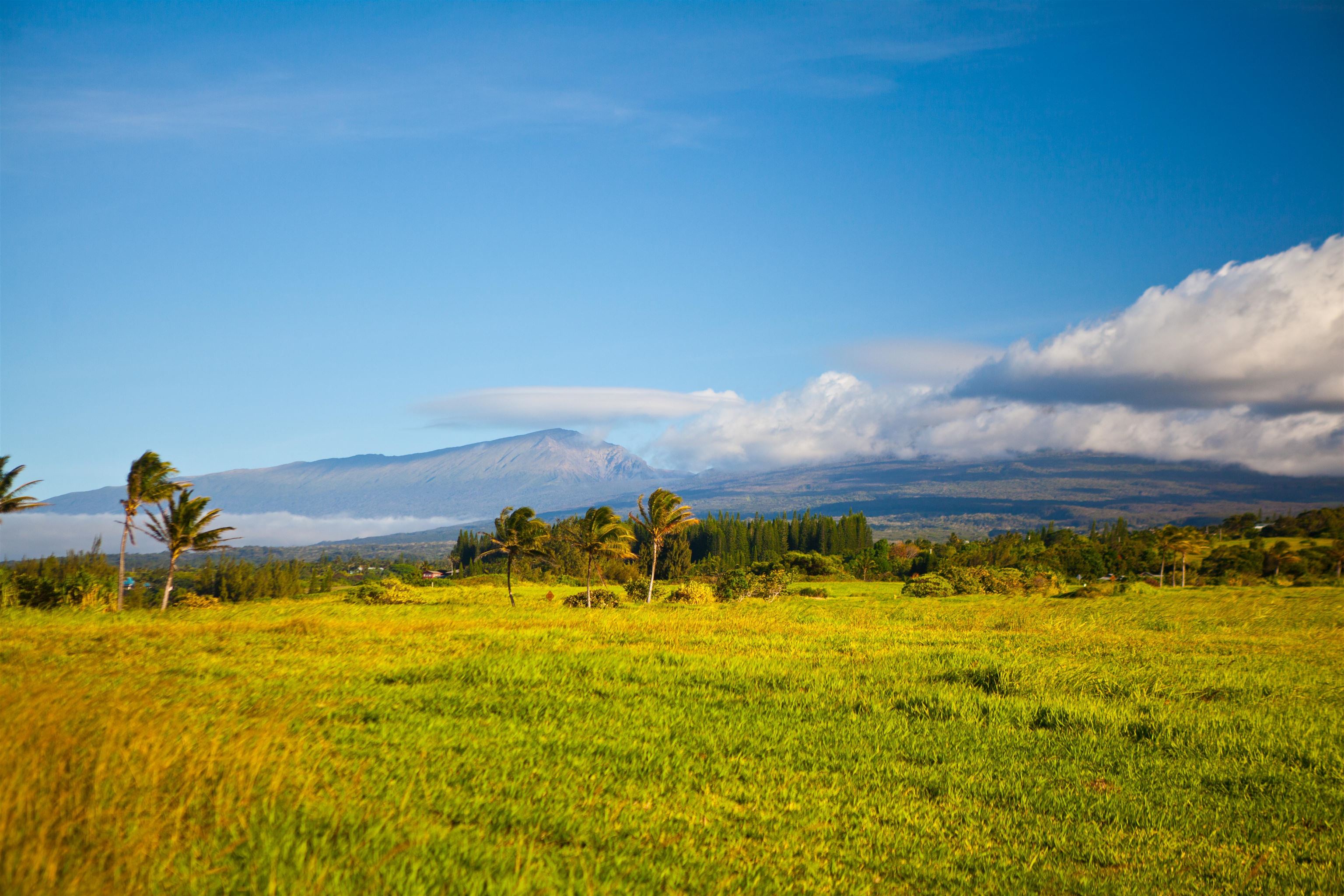 400 Kai Huki Cir Unit: Lot 16