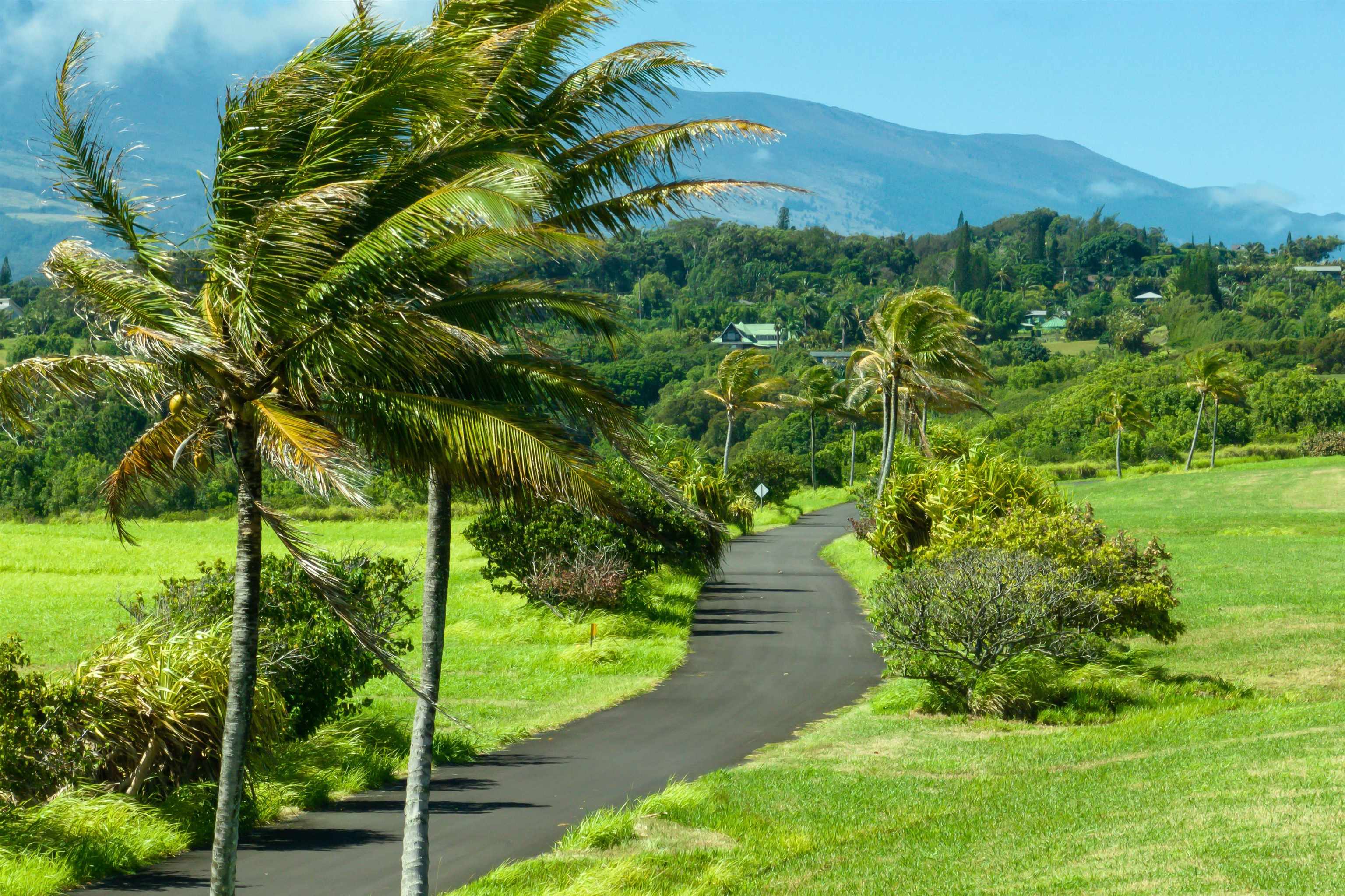 400 Kai Huki Cir Unit: Lot 16