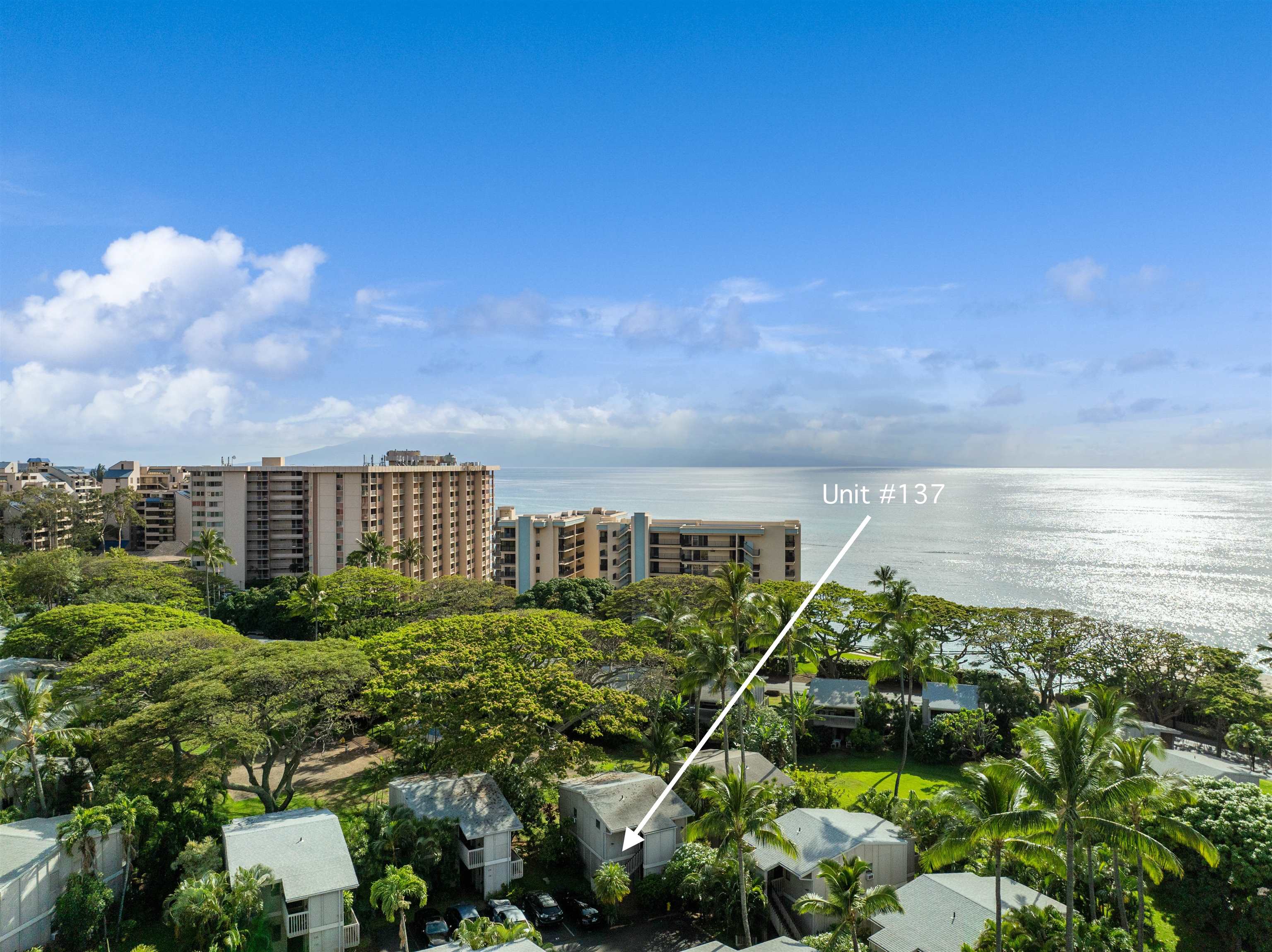 4440 Lower Honoapiilani Rd Unit: 137
