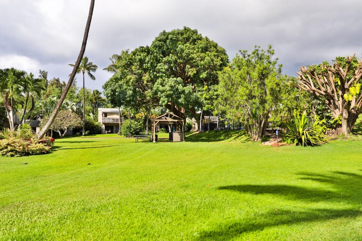 4440 Lower Honoapiilani Rd Unit: 137