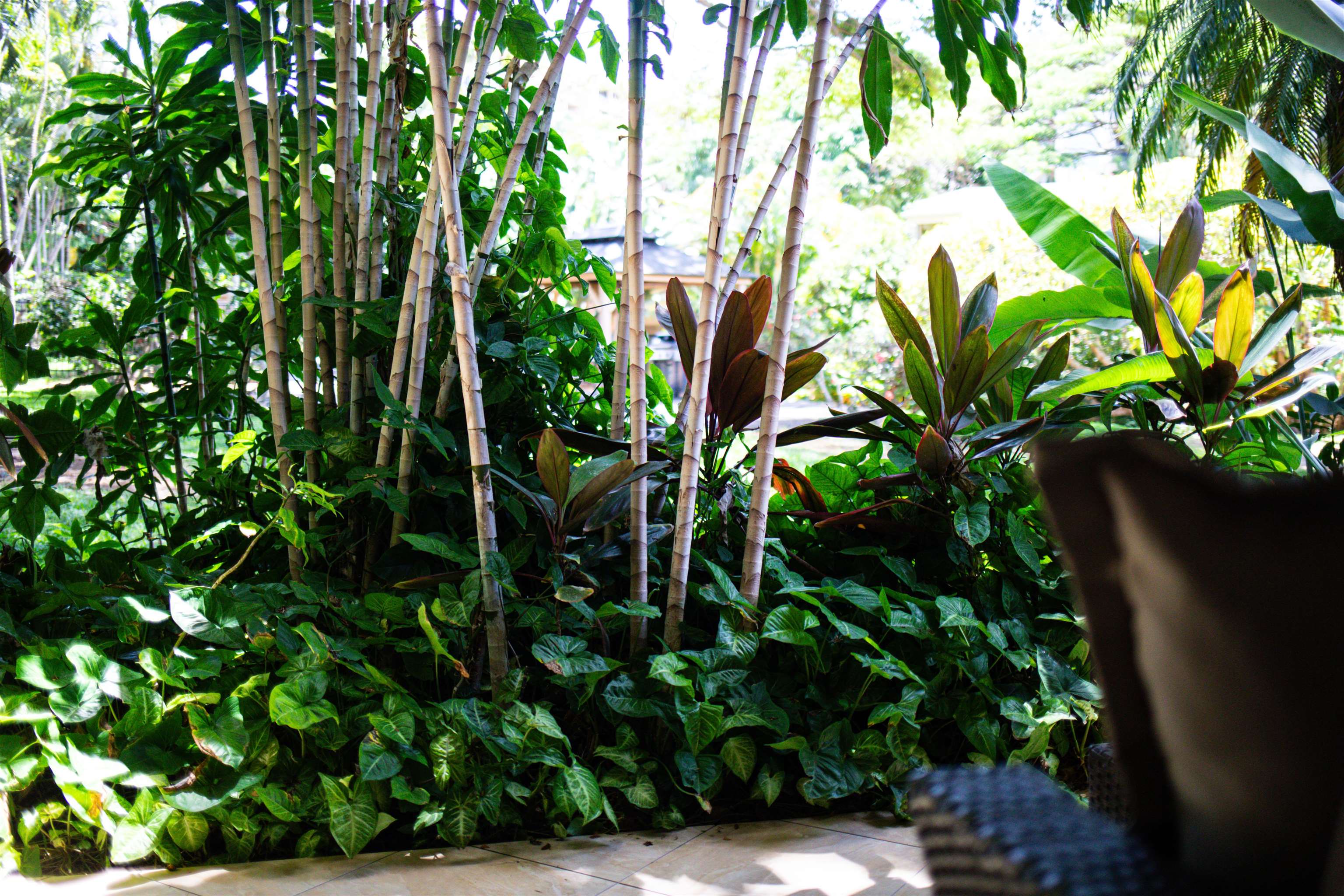 4440 Lower Honoapiilani Rd Unit: 137
