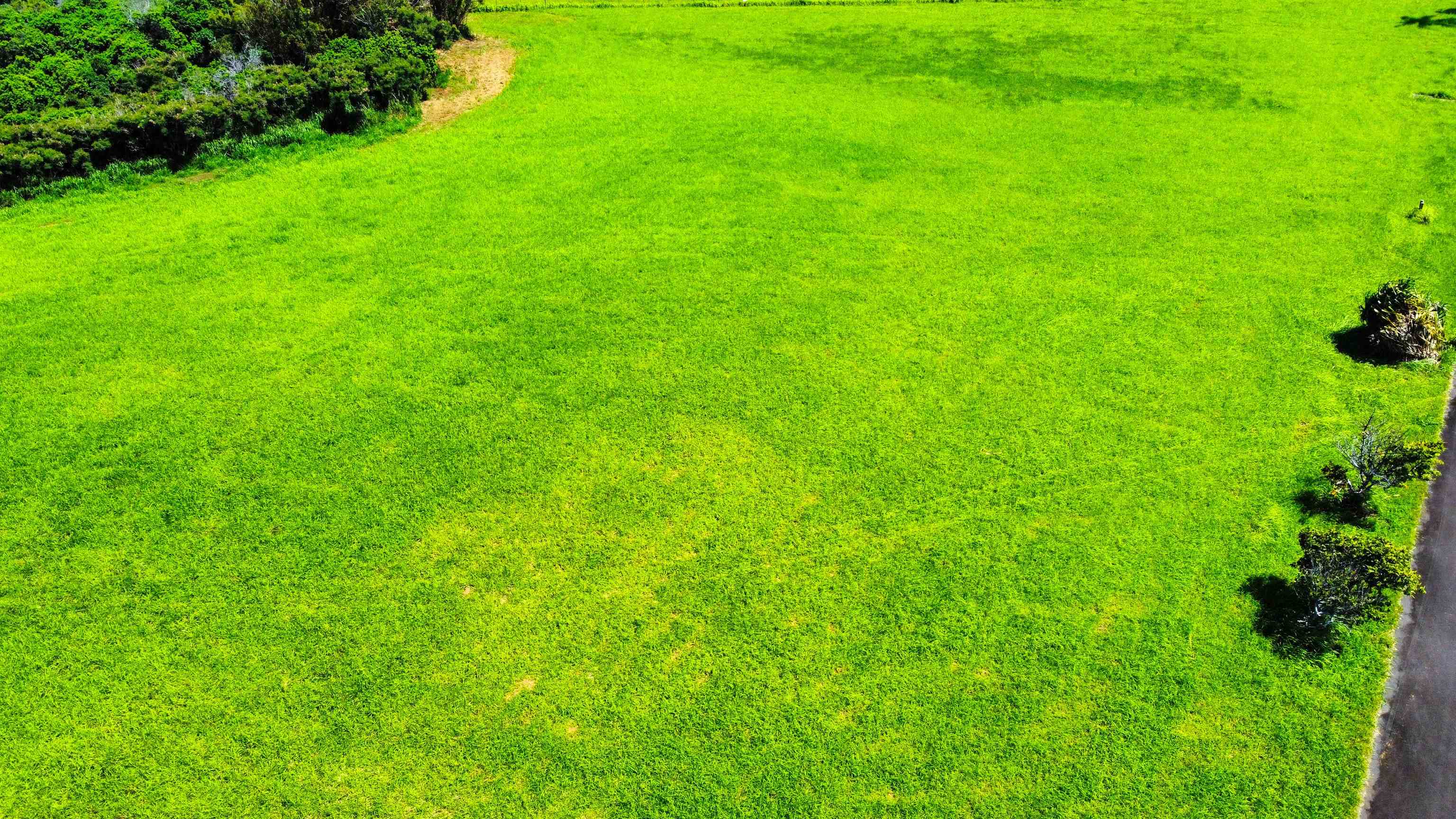 610 Kai Huki Cir Unit: Lot 13