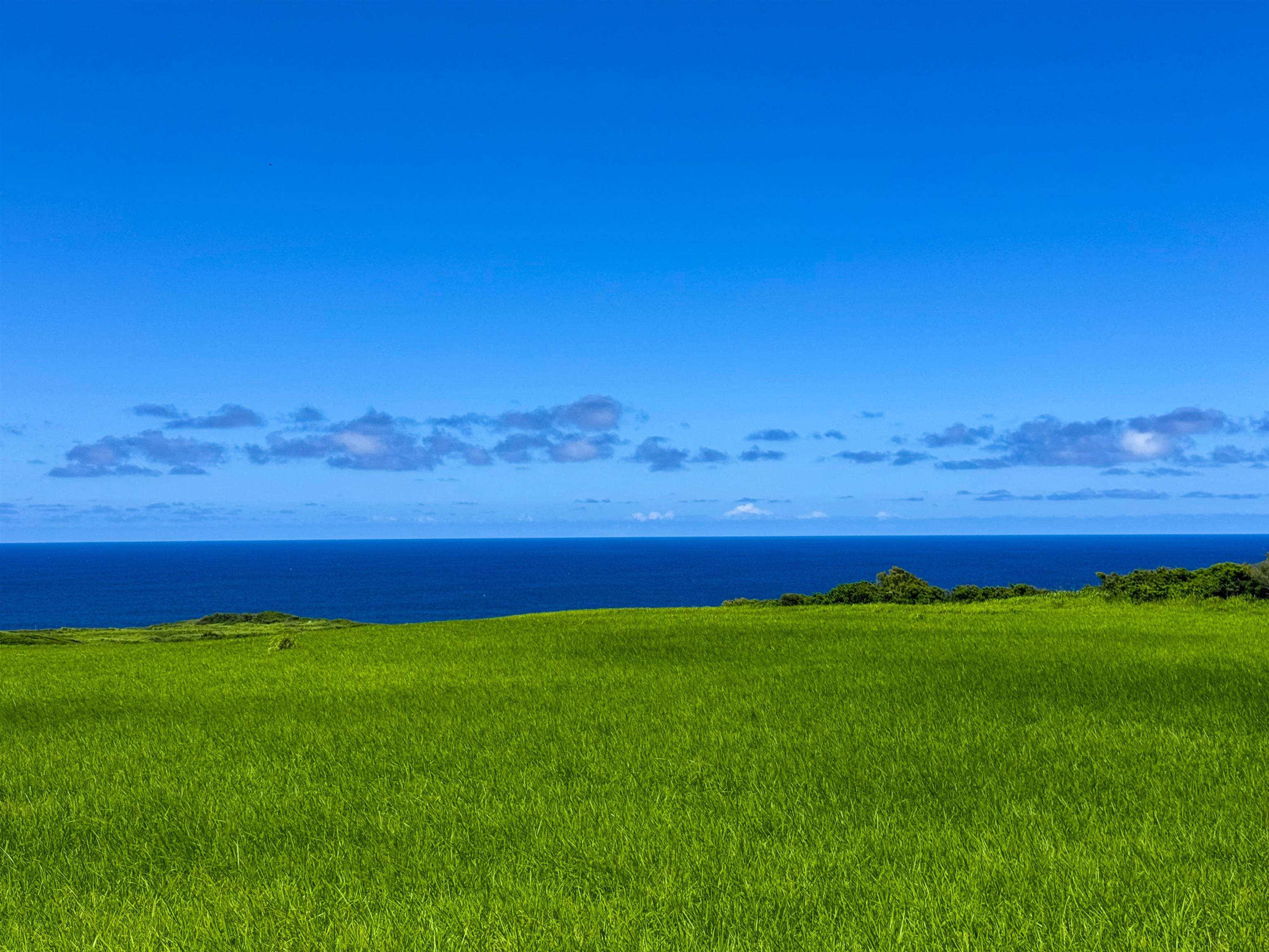 610 Kai Huki Cir Unit: Lot 13