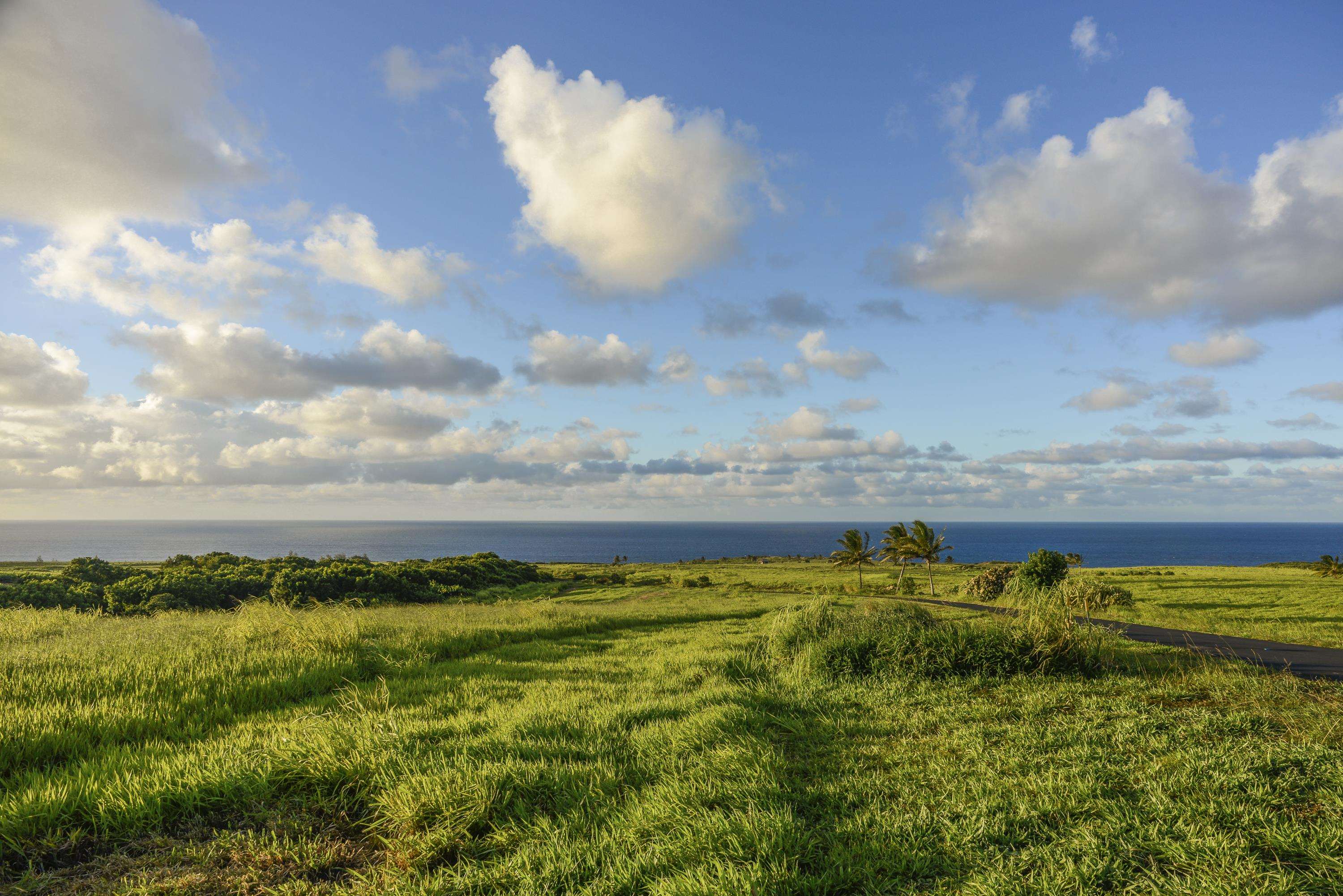 610 Kai Huki Cir Unit: Lot 13