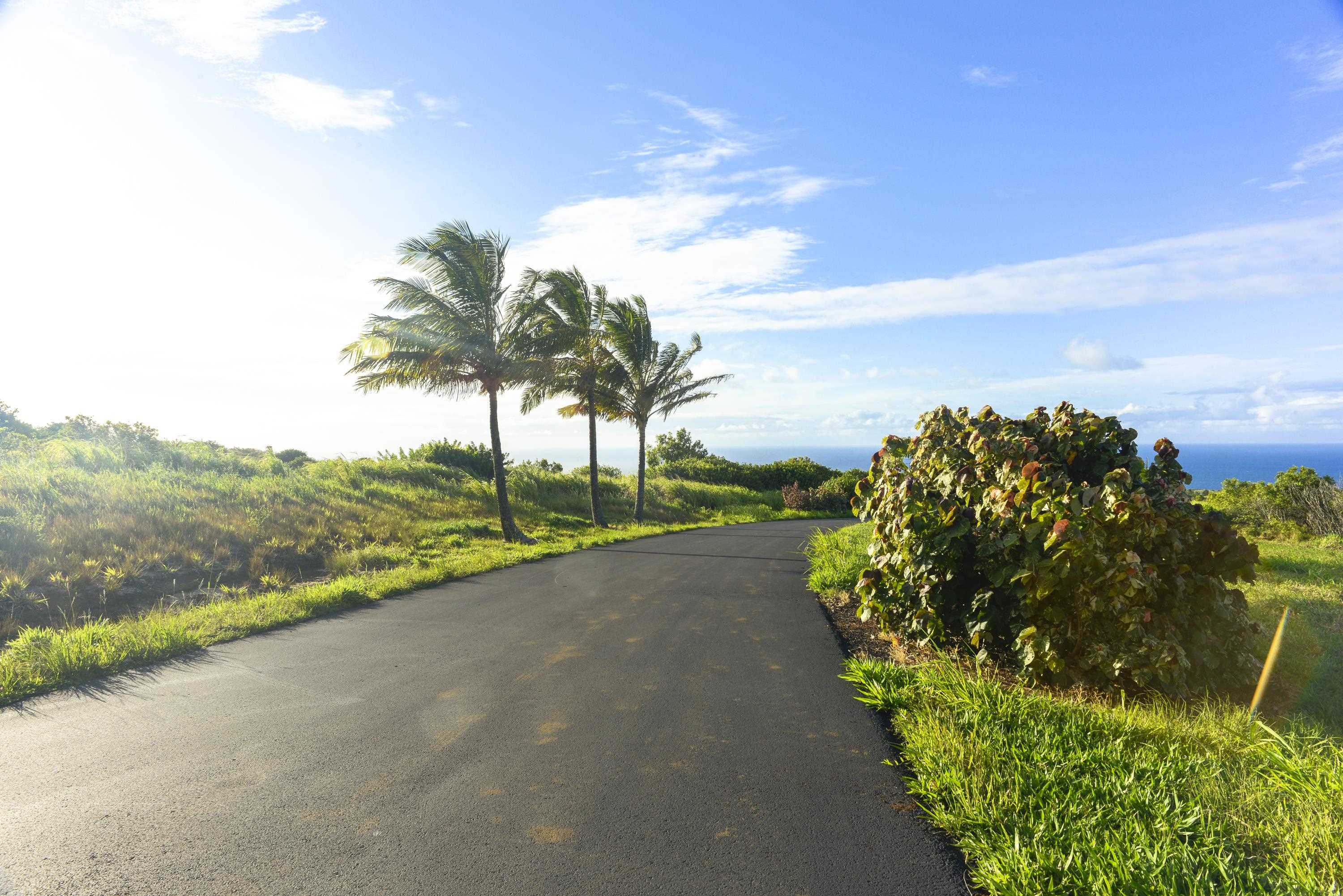 610 Kai Huki Cir Unit: Lot 13