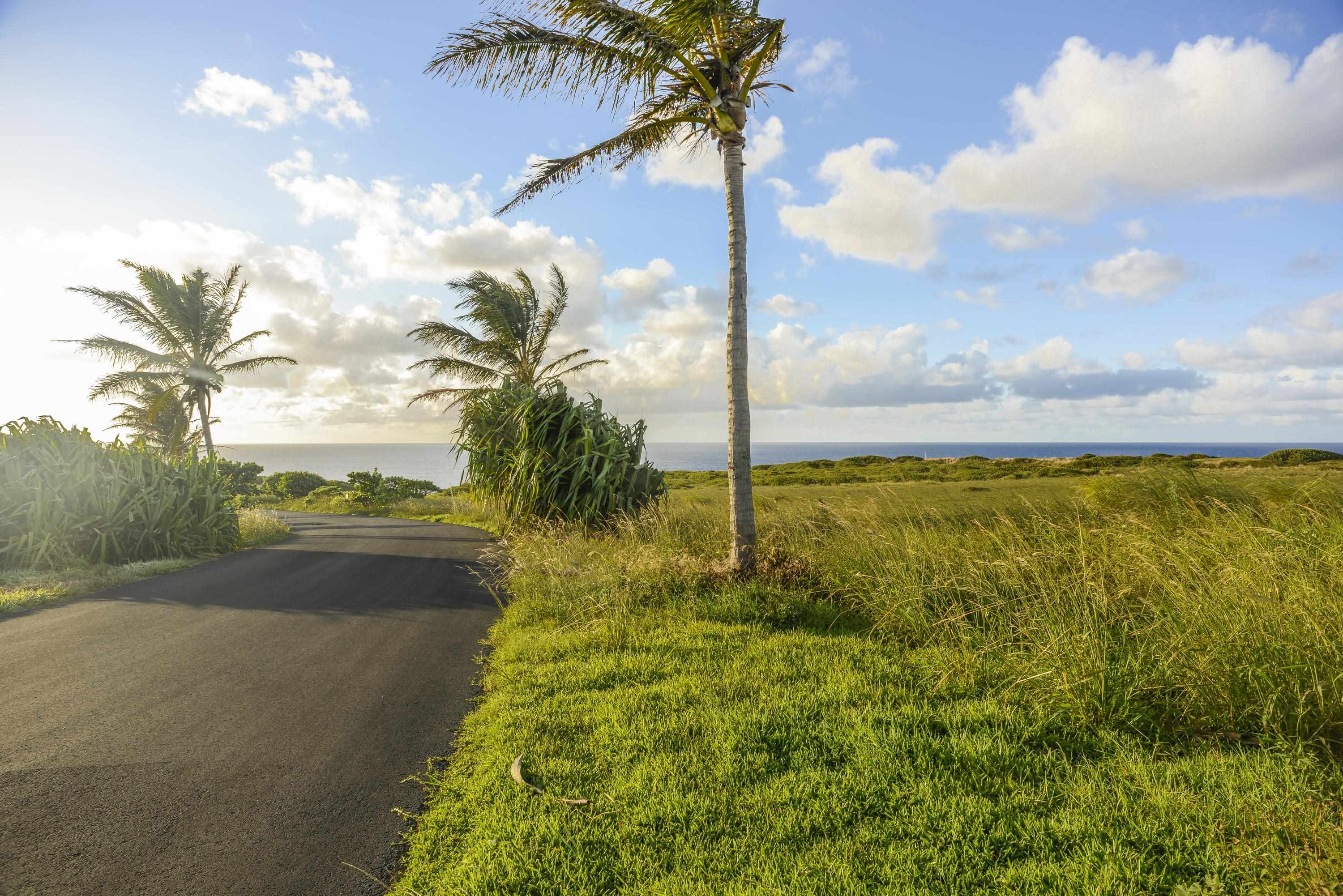 610 Kai Huki Cir Unit: Lot 13