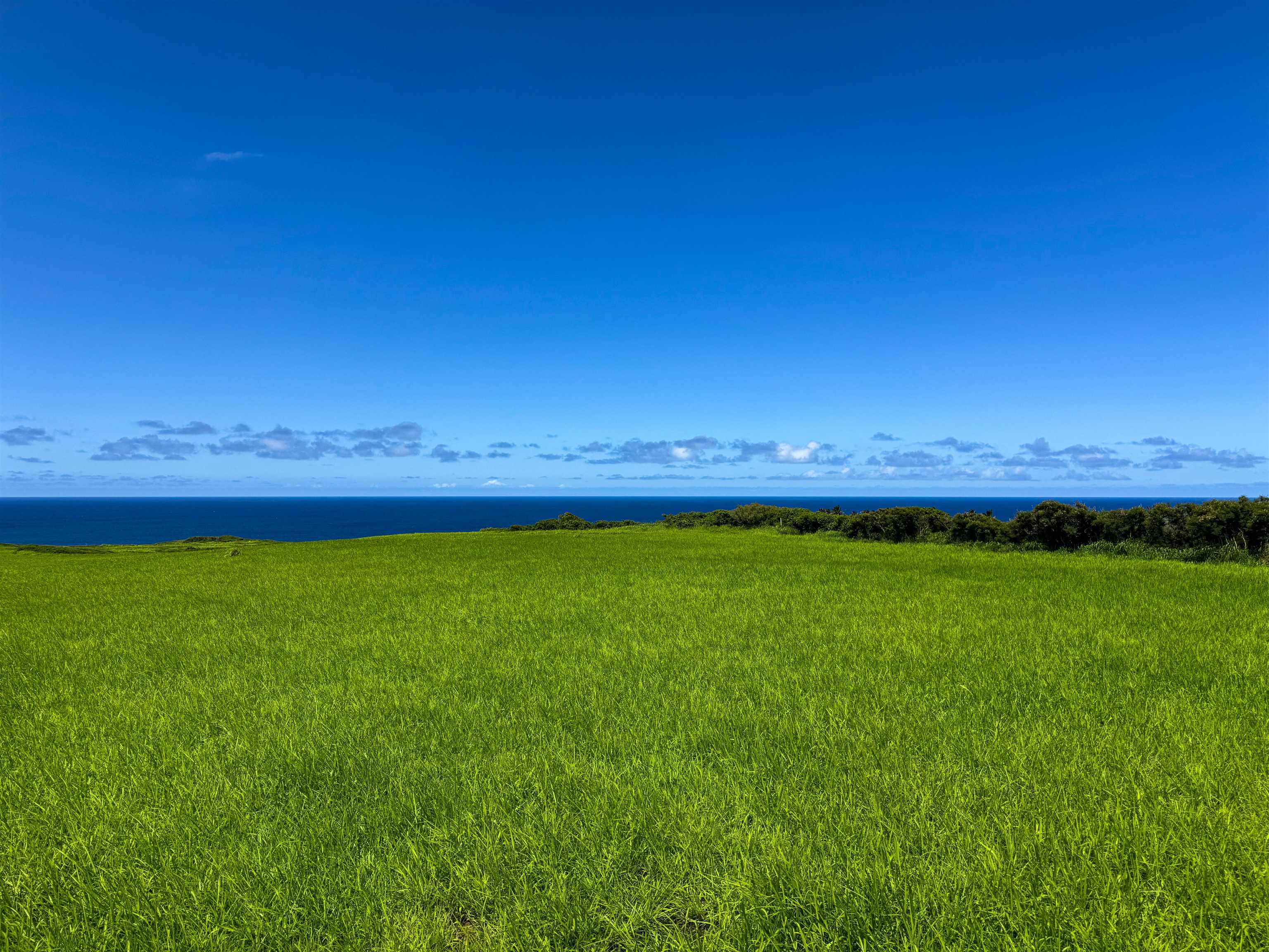 610 Kai Huki Cir Unit: Lot 13