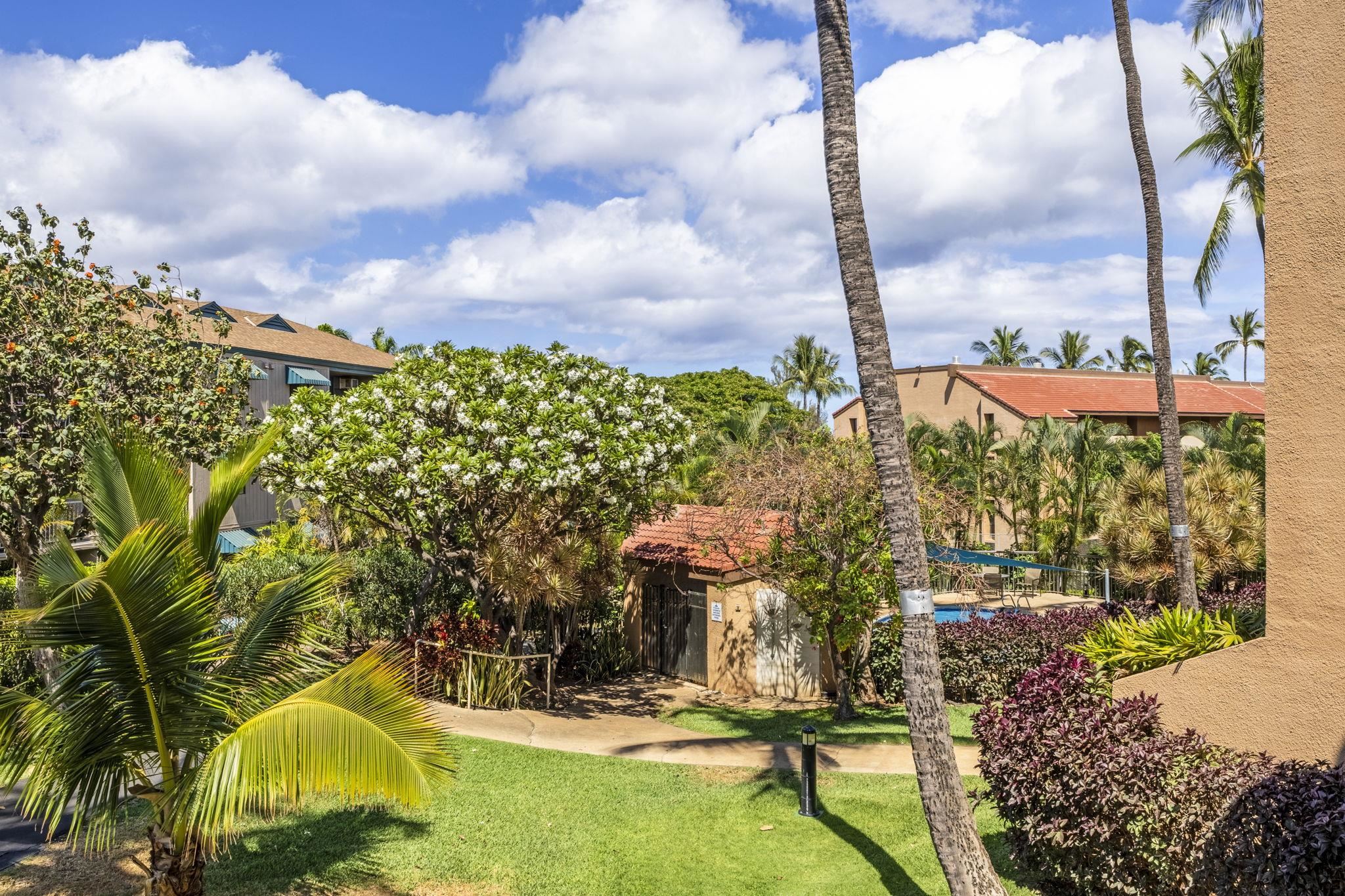 2191 S Kihei Rd Unit: 2202