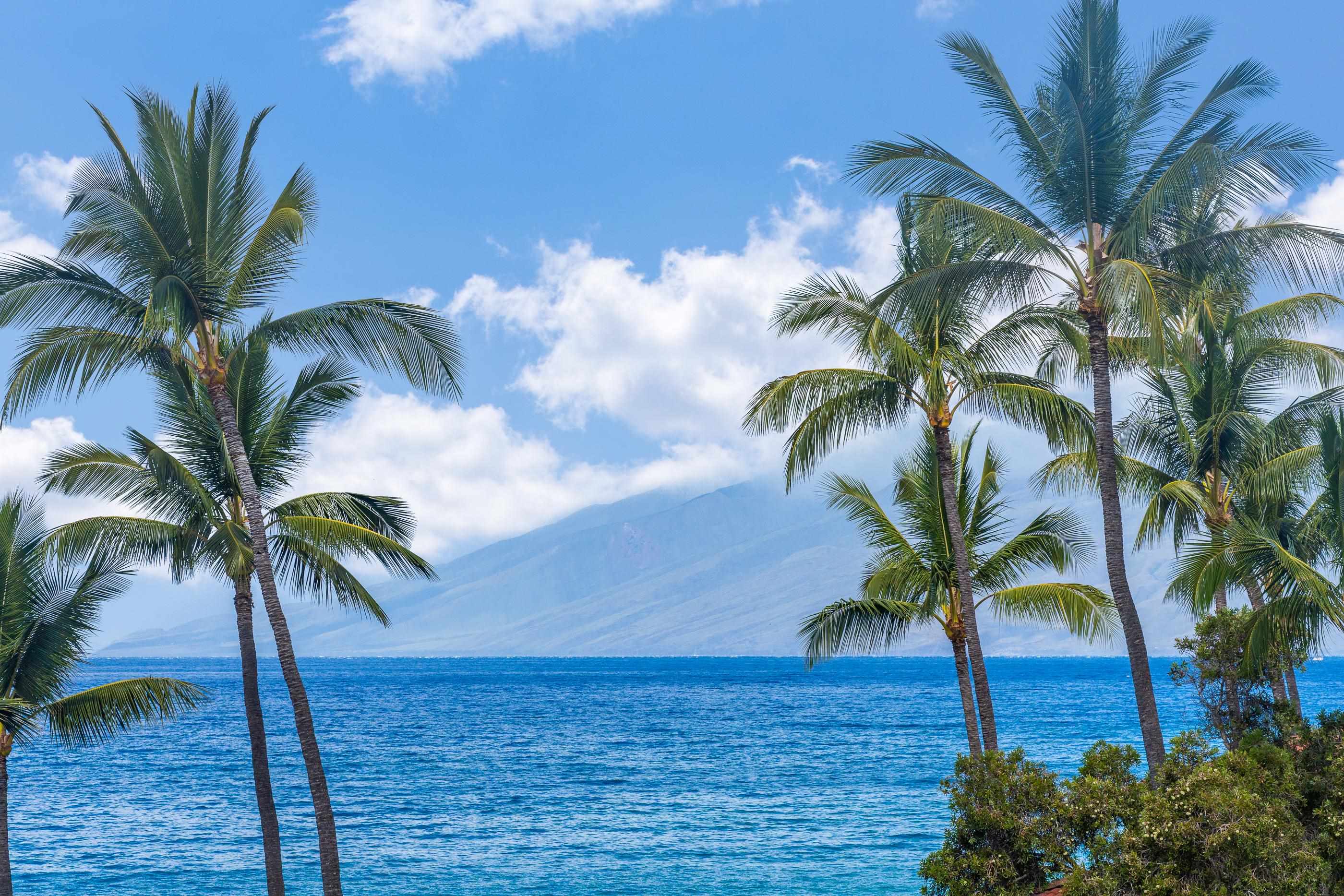 4850 Makena Alanui Rd Unit: C106