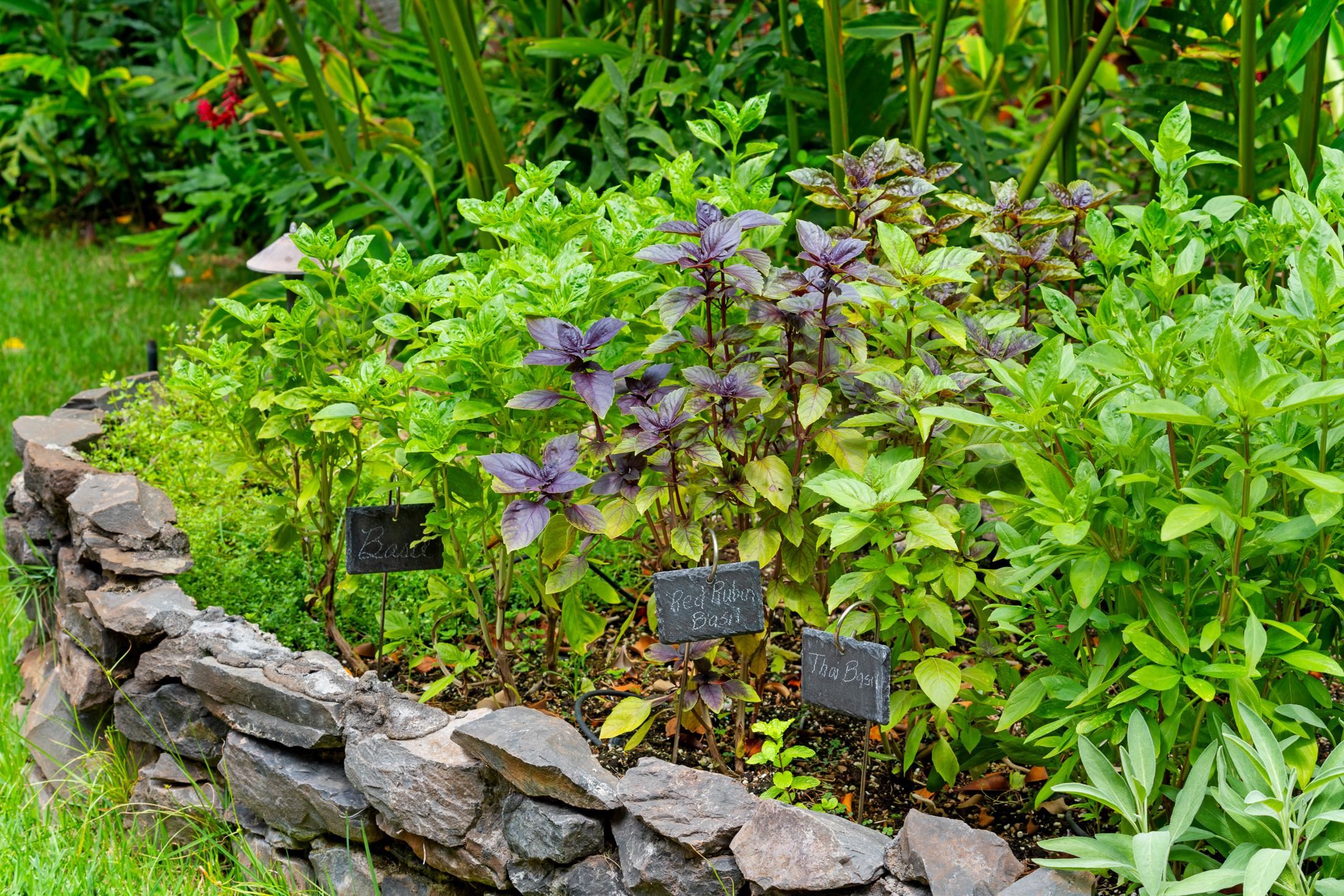 4850 Makena Alanui Rd Unit: C106