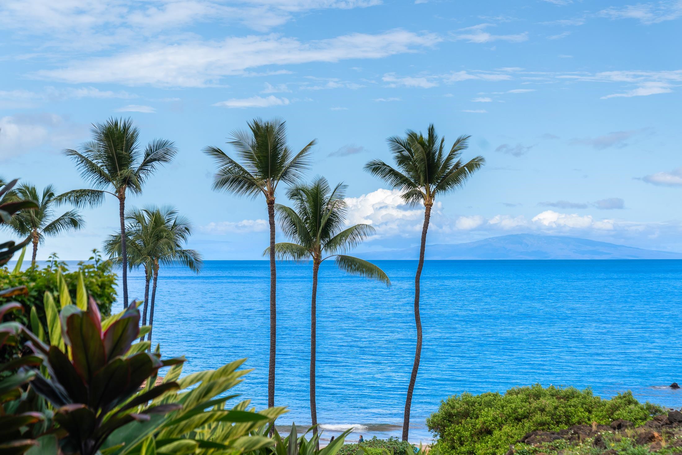 4850 Makena Alanui Rd Unit: C106