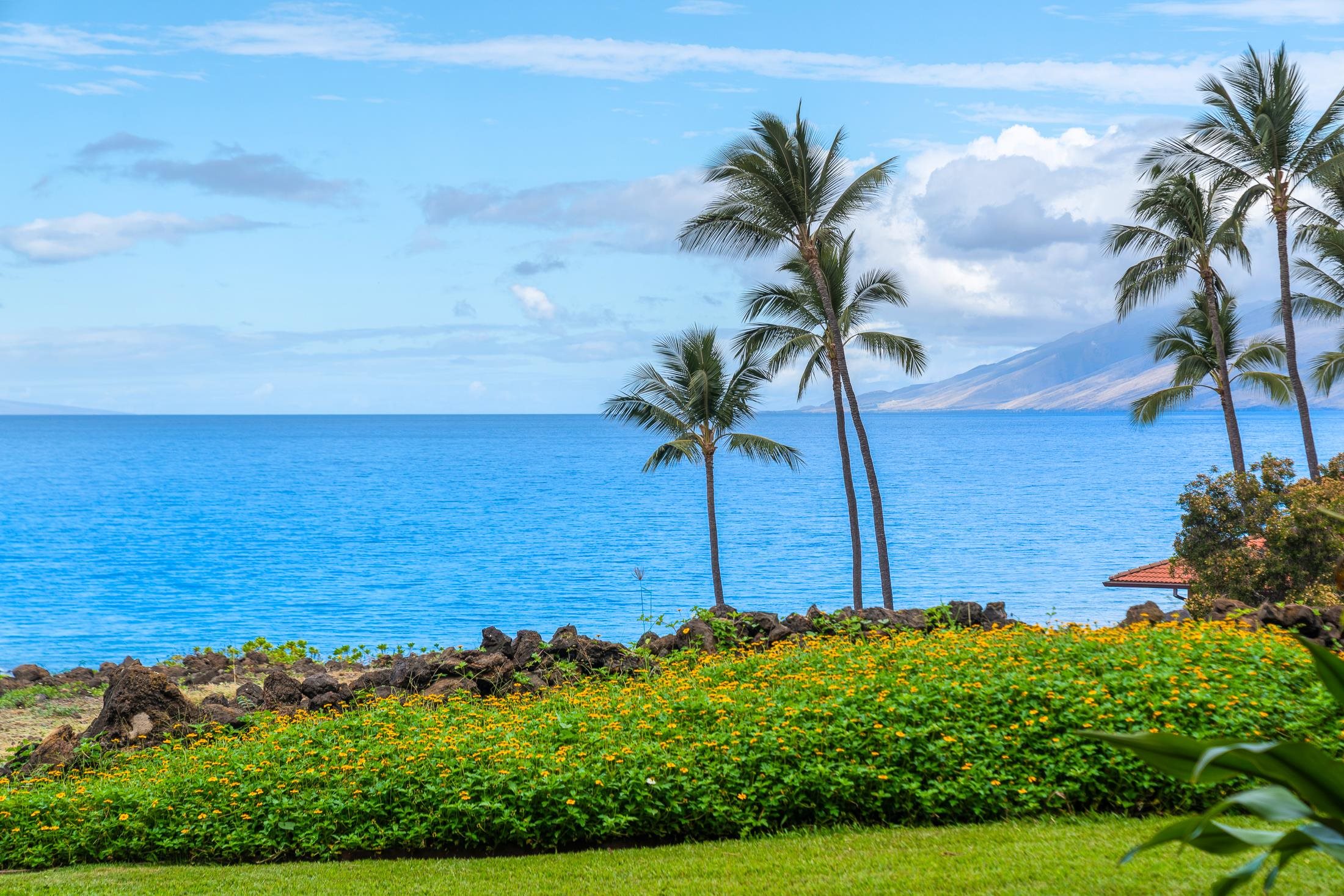 4850 Makena Alanui Rd Unit: C106