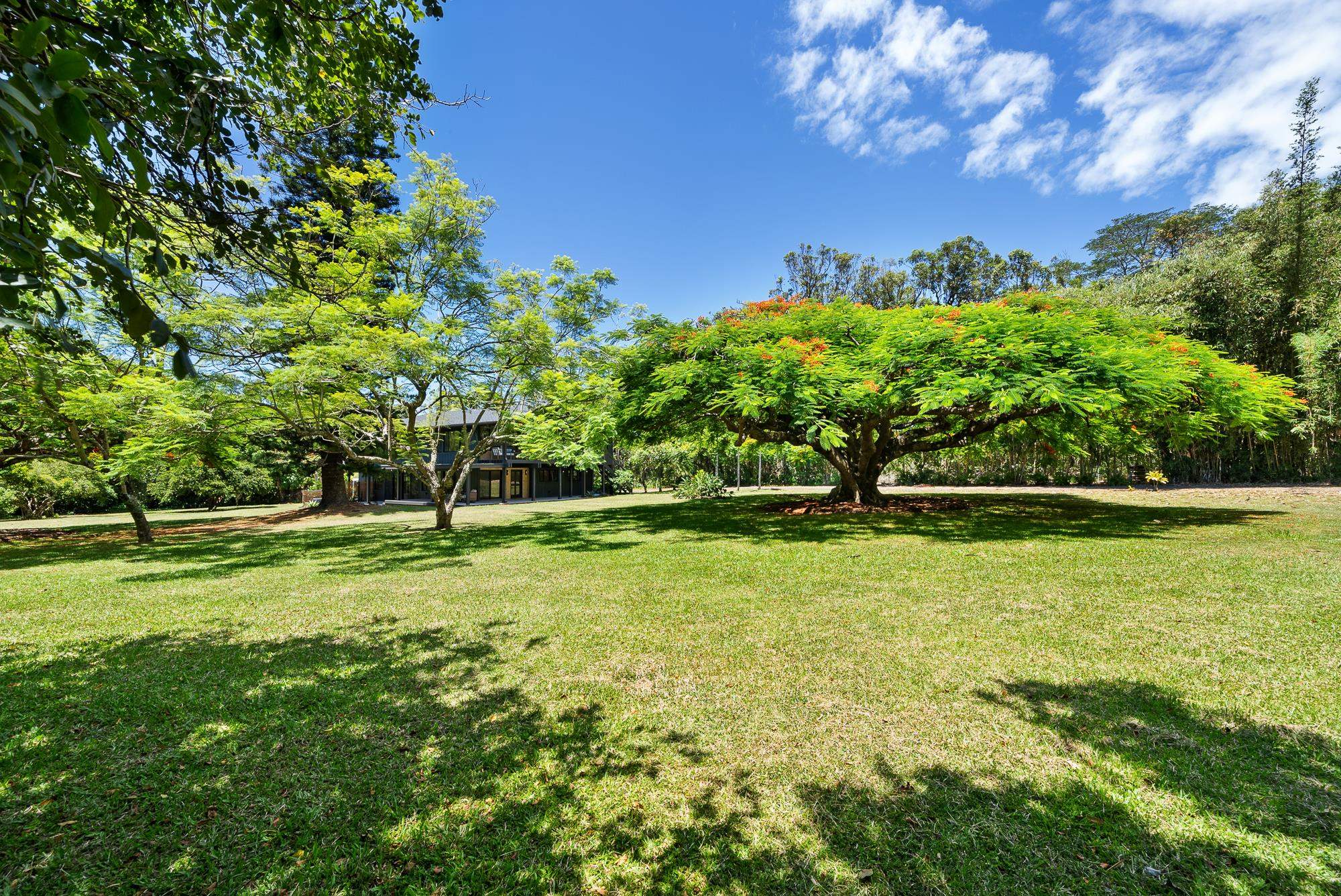 965 Hog Back Rd