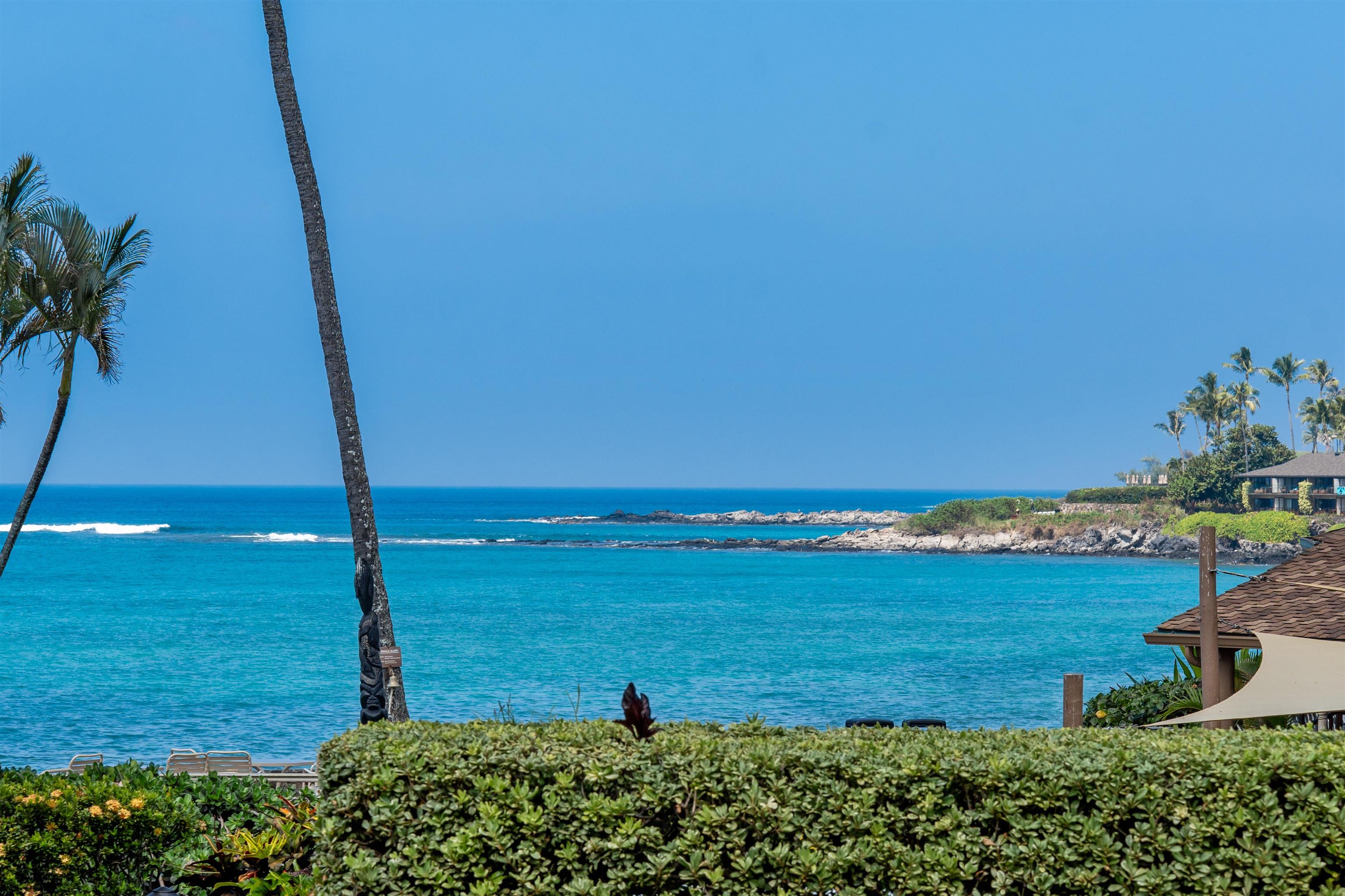 5315 Lower Honoapiilani Rd Unit: H165