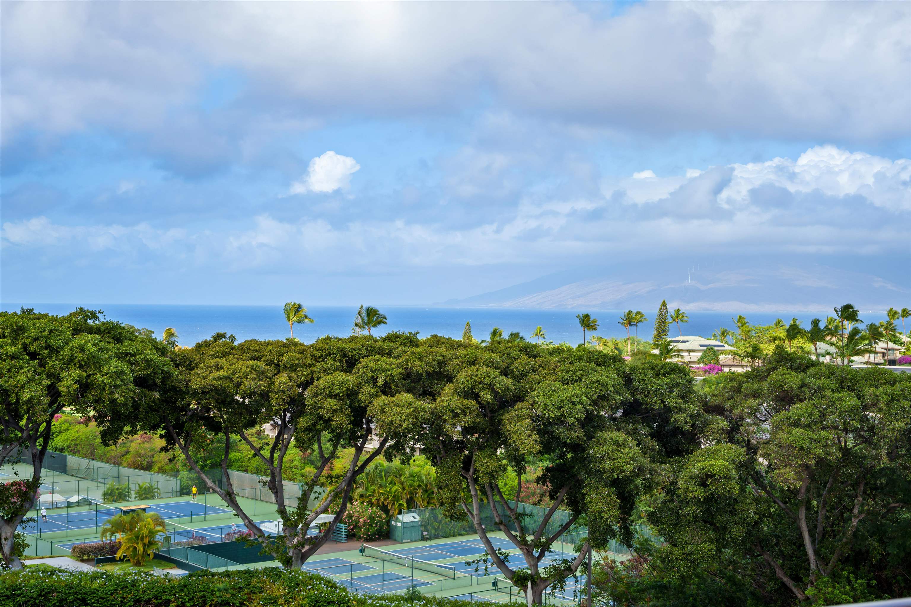 161 Wailea Ike Pl Unit: D-201