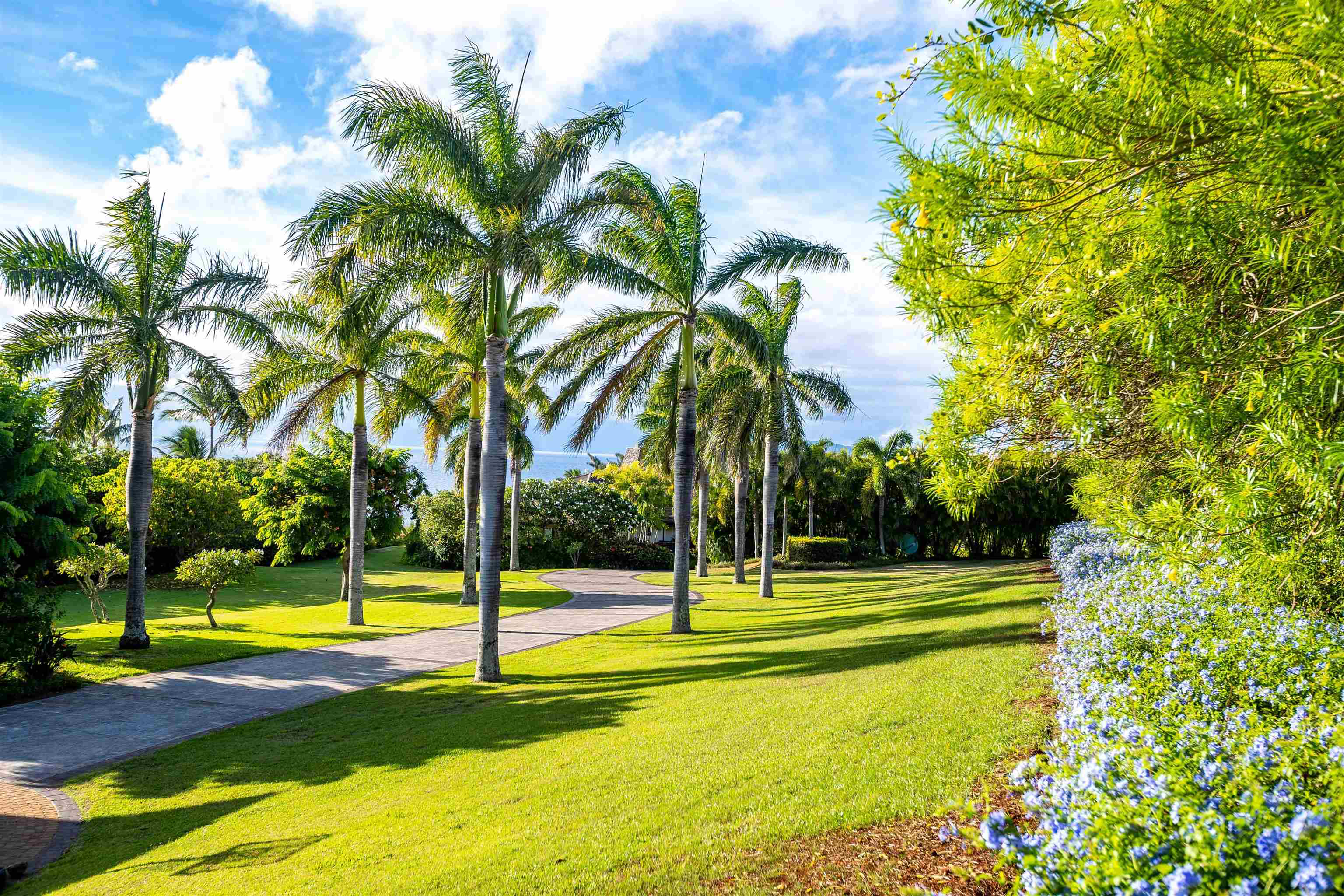 203 Plantation Club Dr