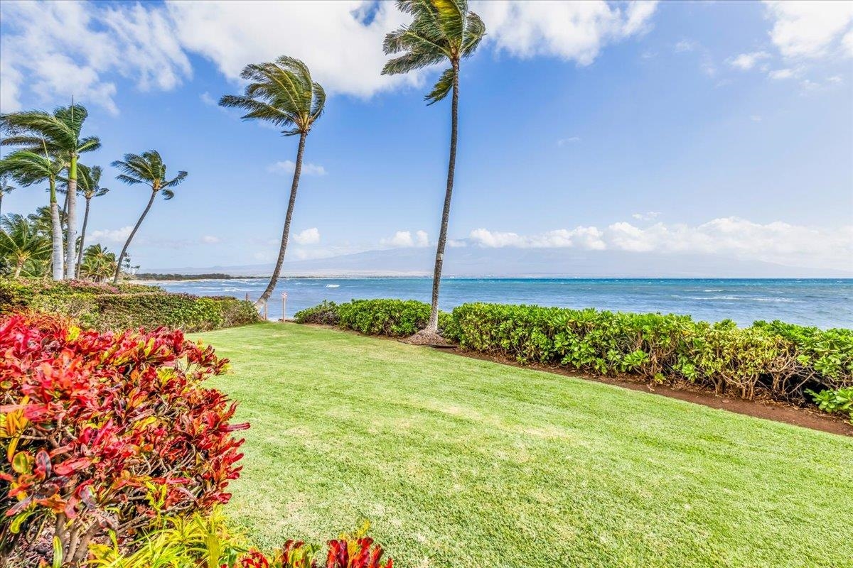 150 Hauoli St Unit: 110