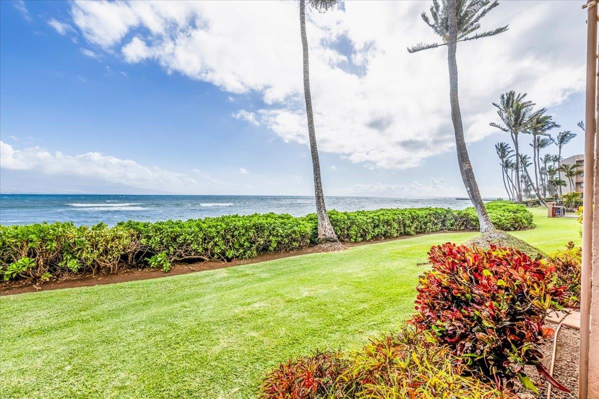 150 Hauoli St Unit: 110