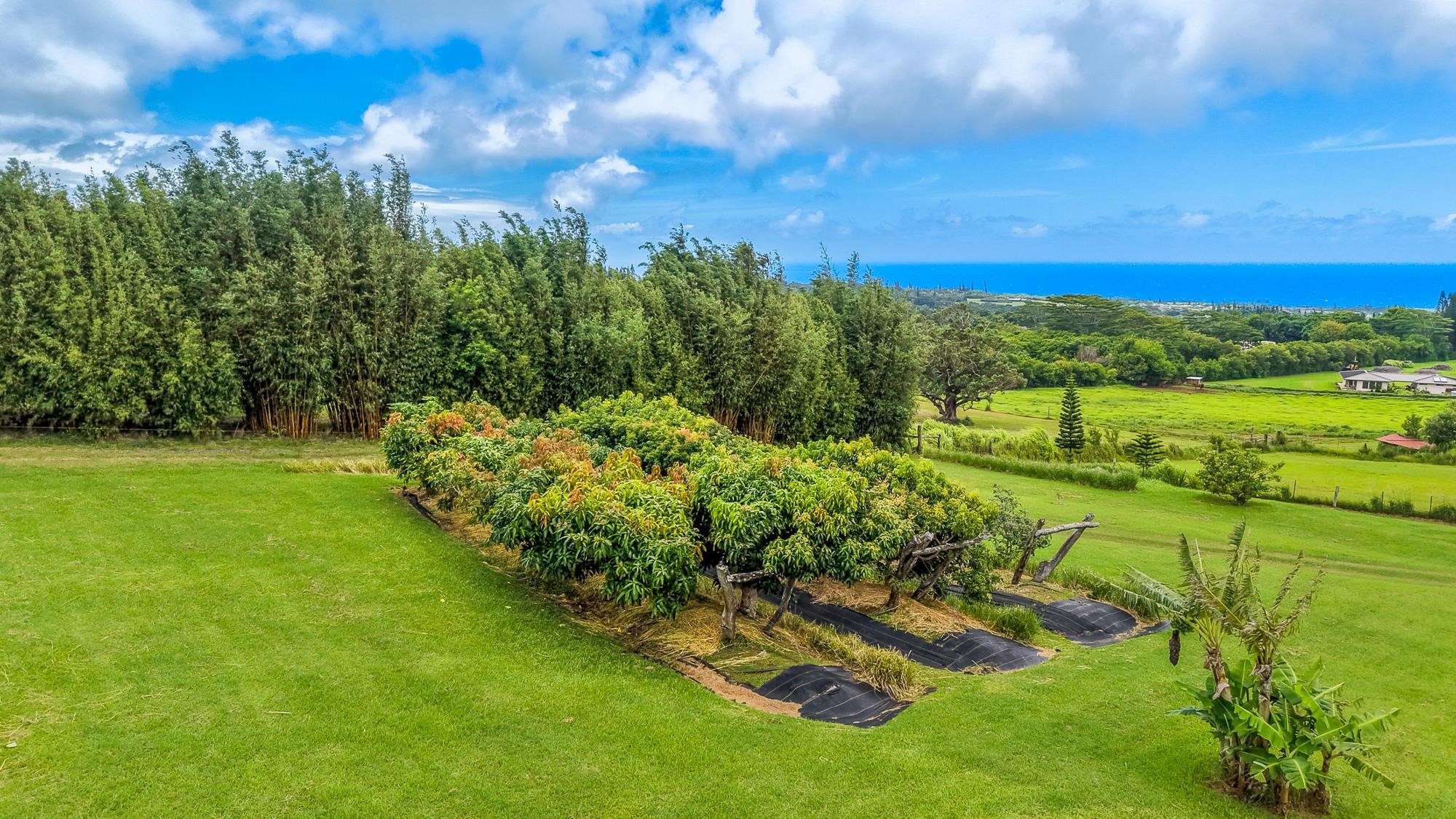 820 W Kuiaha Rd Unit: A